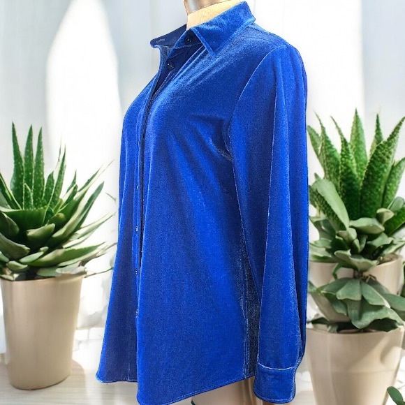 Soft Surroundings Blue Velour Boyfriend Button Down Tunic Shirt - Picture 10 of 16